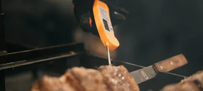 Gloved hand checking meat temperature with a probe thermometer
